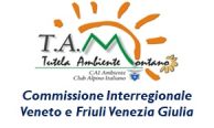 TAM-VFG
